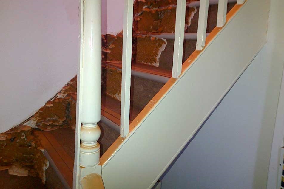 Dry rot early signs - spore dust - PCA